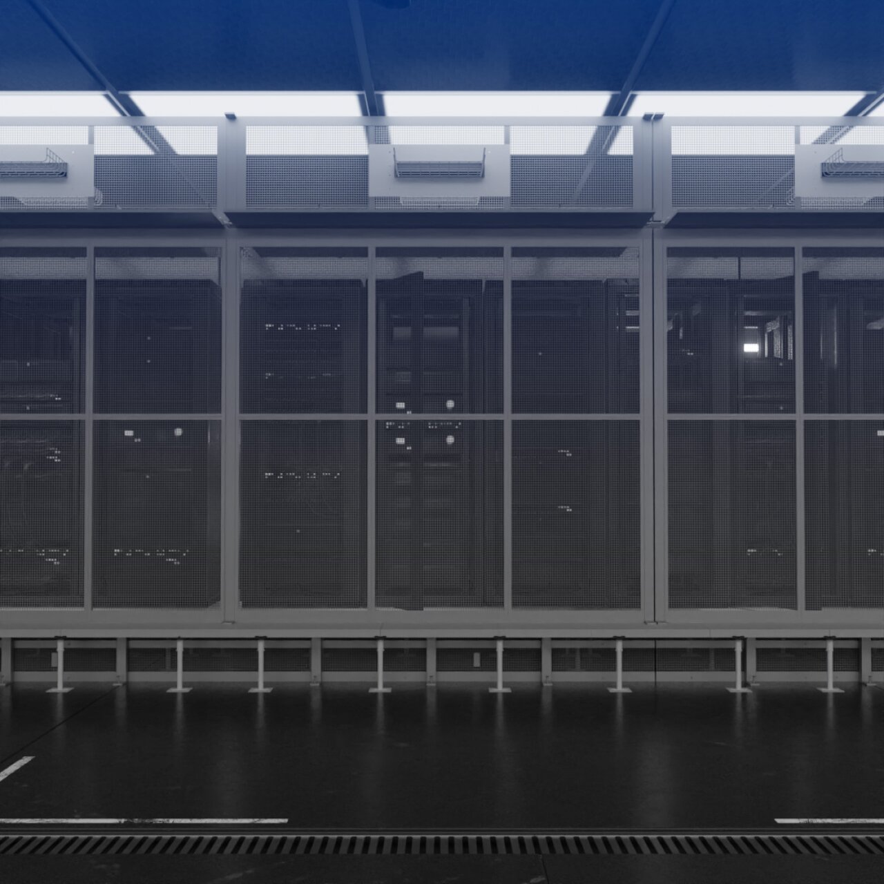 Data Centre Secure Cages.