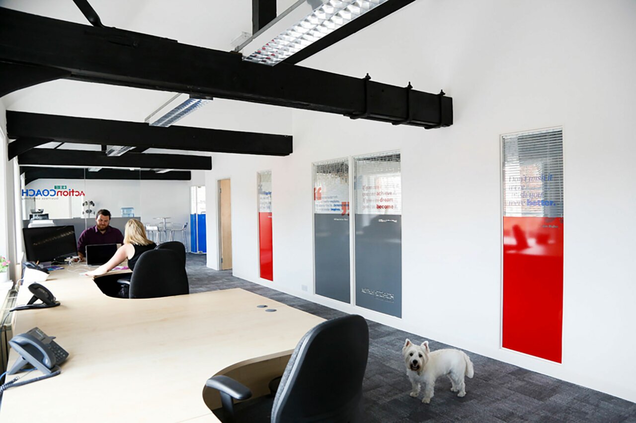 Arri Lighting - office fitout - desks with dog.